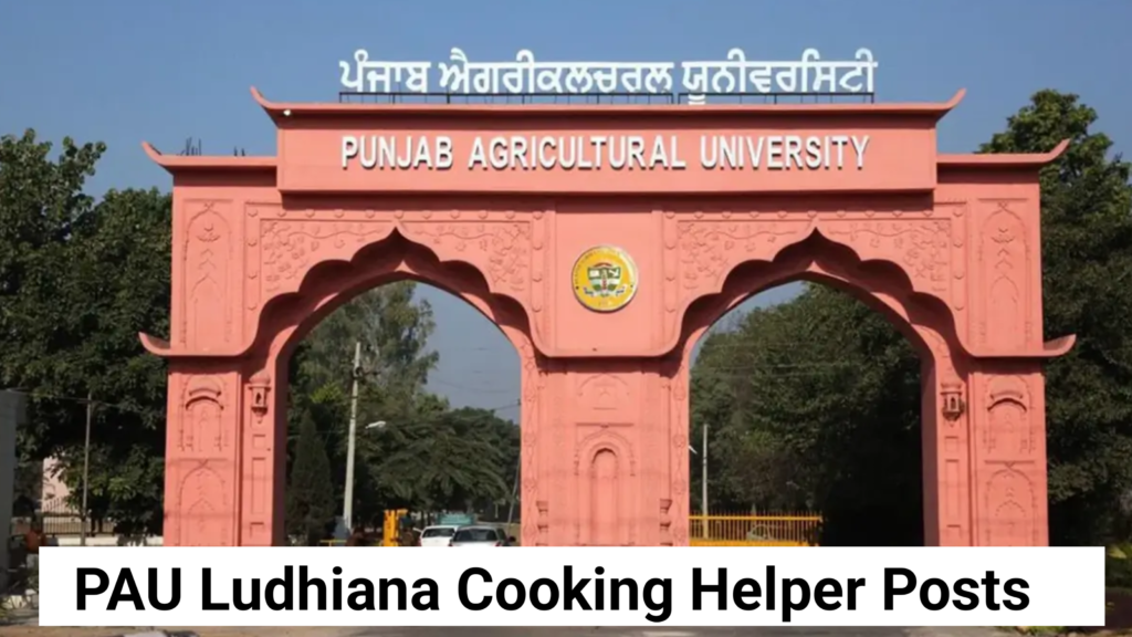 PAU Cooking Helper Jobs 2026-Salary, Eligibility & Application Process